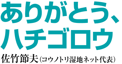 ありがとう、ハチゴロウ　佐竹節夫（コウノトリ湿地ネット代表）