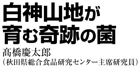 白神山地が育む奇跡の菌　高橋慶太郎（秋田県総合食品研究センター主席研究員）