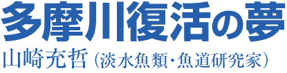 多摩川復活の夢　山崎充哲（淡水魚類・魚道研究家）