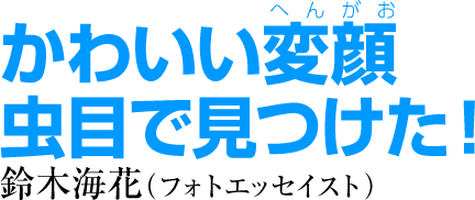 かわいい変顔 虫目で見つけた！　鈴木海花（フォトエッセイスト）