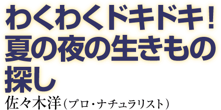 わくわくドキドキ！夏の夜の生きもの探し　佐々木洋（プロナチュラリスト）