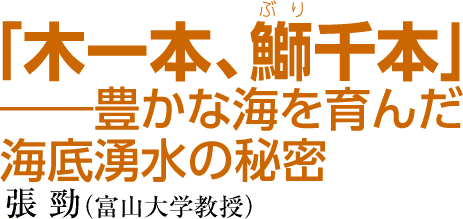 「木一本、鰤(ぶり)千本」——豊かな海を育んだ海底湧水の秘密　張 勁（富山大学教授）