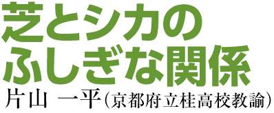 芝とシカのふしぎな関係　片山 一平（京都府立桂高校教諭）