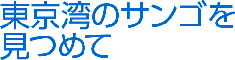 東京湾のサンゴを見つめて　竹内 聖一（NPO法人 たてやま・海辺の鑑定団理事長）