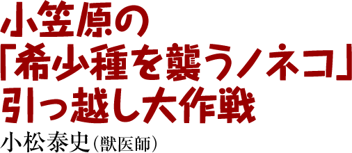 小笠原の「希少種を襲うノネコ」引っ越し大作戦！　小松泰史（獣医師）