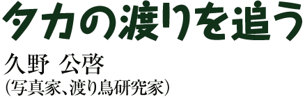 タカの渡りを追う　久野公啓（写真家、渡り鳥研究家）