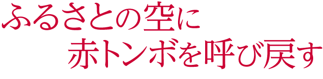 ふるさとの空に赤トンボを呼び戻す