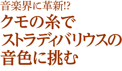 音楽界に革新!?クモの糸でストラディバリウスの音色に挑む