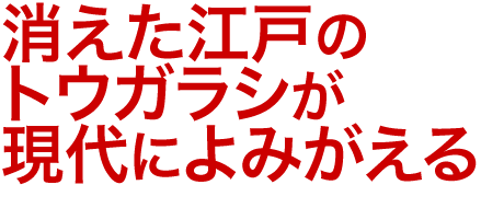 消えた江戸のトウガラシが現代によみがえる