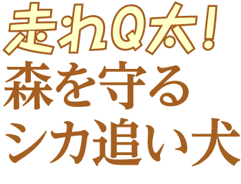 走れＱ太！ 森を守るシカ追い犬