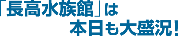 「長高水族館」は本日も大盛況！