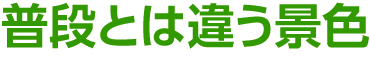 普段とは違う景色