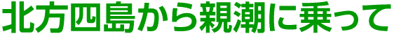 普段とは違う景色