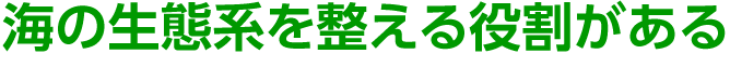 海の生態系を整える役割がある