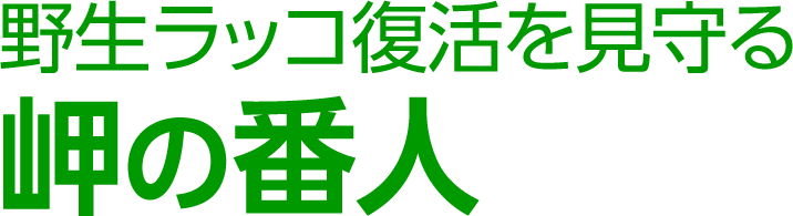 野生ラッコ復活を見守る岬の番人