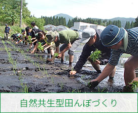 自然共生型田んぼづくり