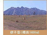 根子岳（標高1408m）