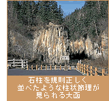 石柱を規則正しく並べたような柱状節理が見られる大函