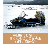 毎日拾えど拾えどなくならないごみの山（1日の回収分）