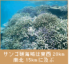 サンゴ礁海域は東西20km 南北15kmに及ぶ