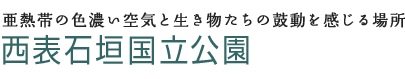 亜熱帯の色濃い空気と生き物たちの鼓動を感じる場所 西表石垣国立公園