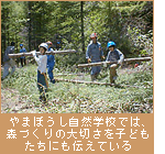 やまぼうし自然学校では、森づくりの大切さを子どもたちにも伝えている。