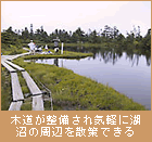 木道が整備され気軽に湖沼の周辺を散策できる。