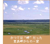 かつては“岬”だった宮島岬からの一望