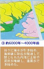 (3)約6000〜4000年前　徐々に海水が引き始め、海岸線に砂丘が発達して、閉じられた内湾に土砂や泥炭が堆積し、湿原ができ始めた。