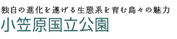 独自の進化を遂げる生態系を育む島々の魅力　小笠原国立公園