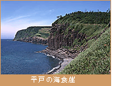 平戸の海食崖