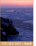 夕日に染まる流氷と海食崖