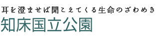 耳を澄ませば聞こえてくる生命のざわめき 知床国立公園