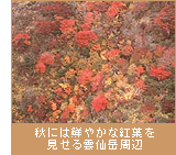 秋には鮮やかな紅葉を見せる雲仙岳周辺