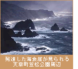 発達した海食崖が見られる天草町笠松公園周辺