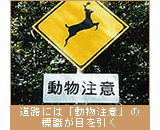 道路には「動物注意」の標識が目を引く