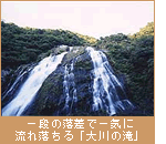 一段の落差で一気に流れ落ちる「大川の滝」