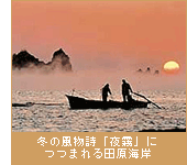 冬の風物詩「夜霧」につつまれる田原海岸