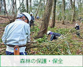 森林の保護・保全