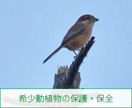 希少動植物の保護・保全