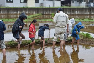 1.はじめての田んぼにおとなも子どももおそるおそる