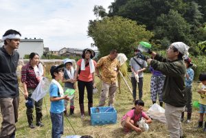 3.田んぼの生きもの観察