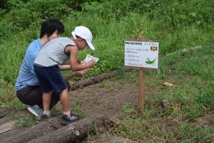 2.クイズ解答中