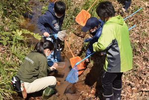 4.生きものしらべ