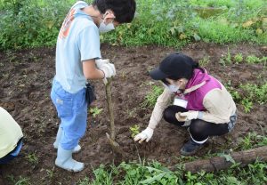 ３．植物の植え付け