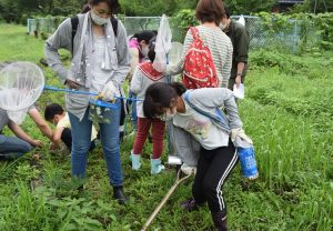 ２．植物の採集