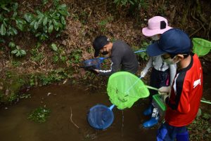 2.沢の生きもの観察