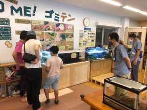 1.多摩川の魚観察