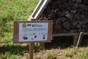 クイズ看板