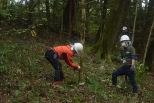 ３．混みすぎている低木の伐採